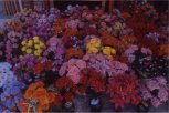 fiori finti