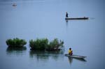 life in the river