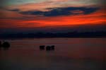 sunset on Mekong