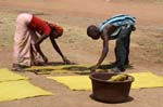 drying carpets