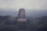 Tikal