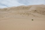 dune di Konghorin Els