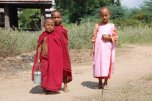 young monks