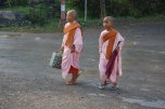 little female monks