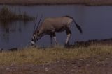 Etosha