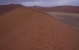 Namib: duna 45