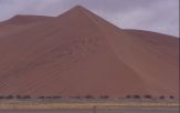 Namib