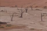 DeadVlei