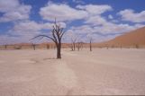 Deadvlei