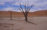 Deadvlei