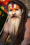 sadhu