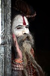 sadhu