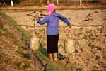 worker in balance