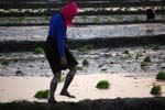 walking in the rice fields