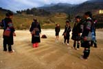 girls playing