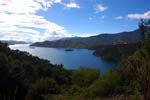 Marlborough sound