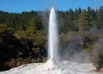 Lady Fox Geyser