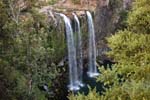 Whangarei Falls