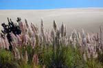 colors and dunes