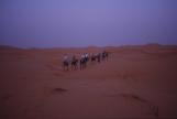 Erg Chebbi al tramonto