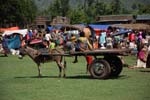 transportation