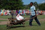 wheelbarrow