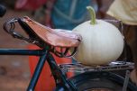 la zucca in bicicletta