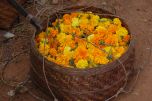 basket of flowers