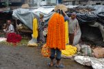 flowers' market