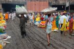 flowers market