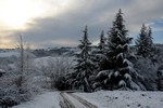 verso Bargone Variatico