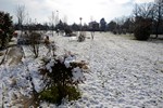 parco fidentino