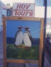 advertisement and penguins