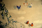farfalle sui muri