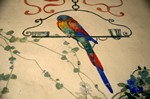 il pappagallo murato