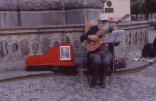 musicista a Wroclaw