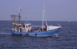 Mar Baltico