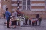 fiori