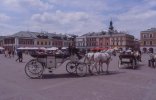 Zamosc