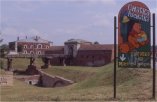 Zamosc