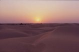 sunset in the desert