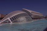 acquario