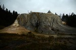 Yellowstone
