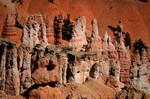 particolari del Bryce Canyon
