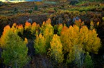 colori del Colrado