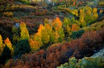 colori del Colrado