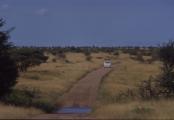 Kruger Park