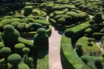 Marqueyssac gardens