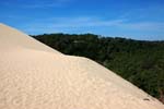 Pilat dunes