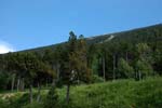 Mont Ventoux